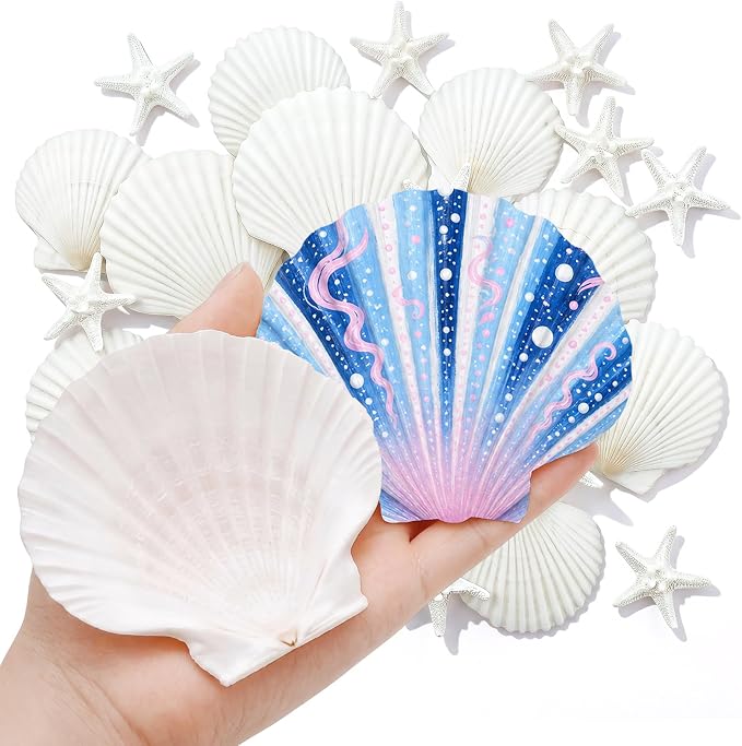 Junkin 40 Pack Natural Scallop Shells and Artificial Starfish - Image 8