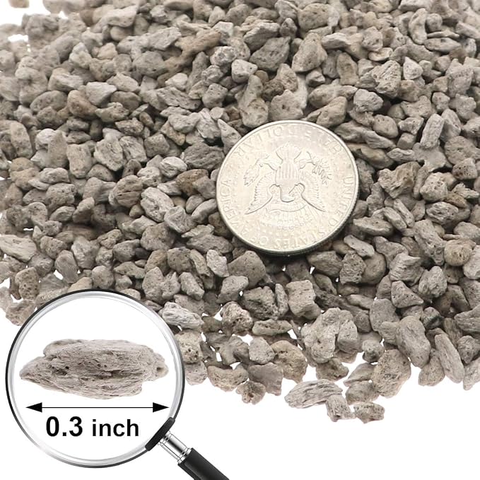TOYPOPOR Horticultural Bonsai Pumice Succulent Cactus Plants Garden Turface - Image 2