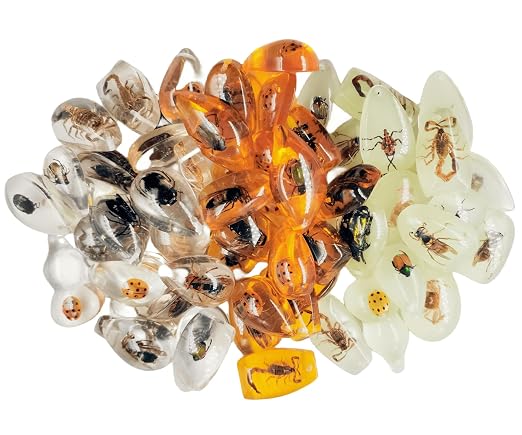 Real Specimens of Various Butterflies and Beetles Made of Resin, Used - Image 2
