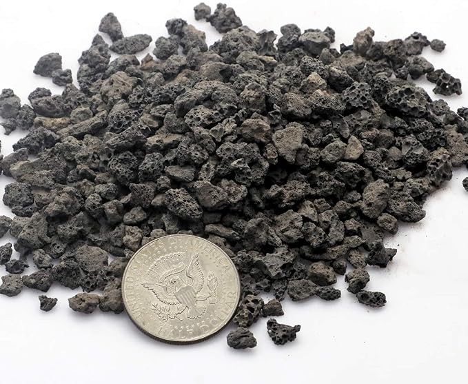 TOYPOPOR 6lb Black Lava Rock for Plants, Natural Horticultural Volcanic Grit - Image 4