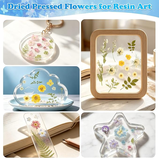 284 Pcs Dried Pressed Flowers - Image 6