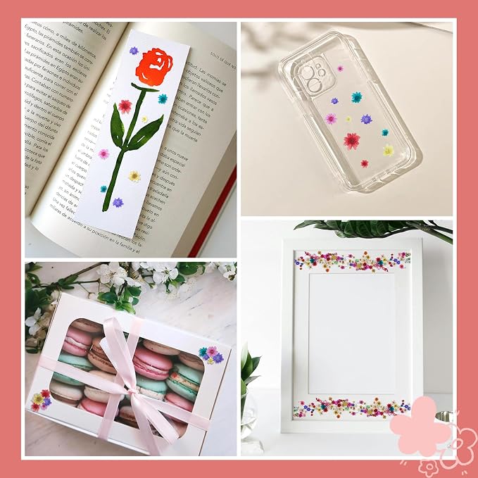 1700 PCS Mini Dried Flowers for Resin, Small Dried Flowers for Crafts, - Image 4