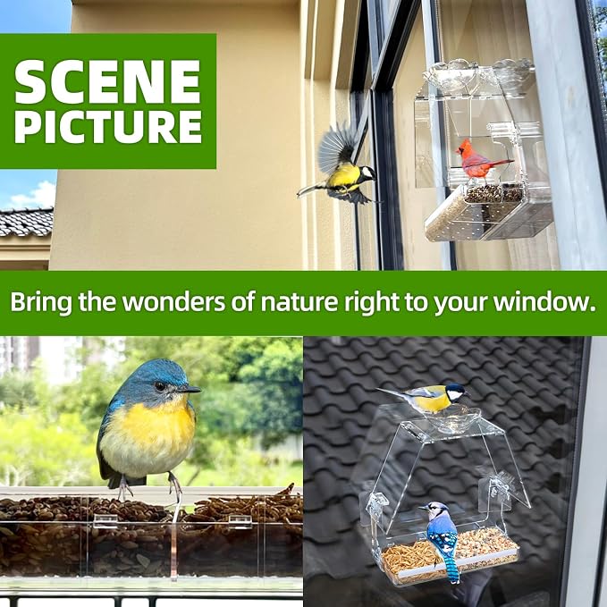 WENMIXER Window Bird Feeder - Image 6