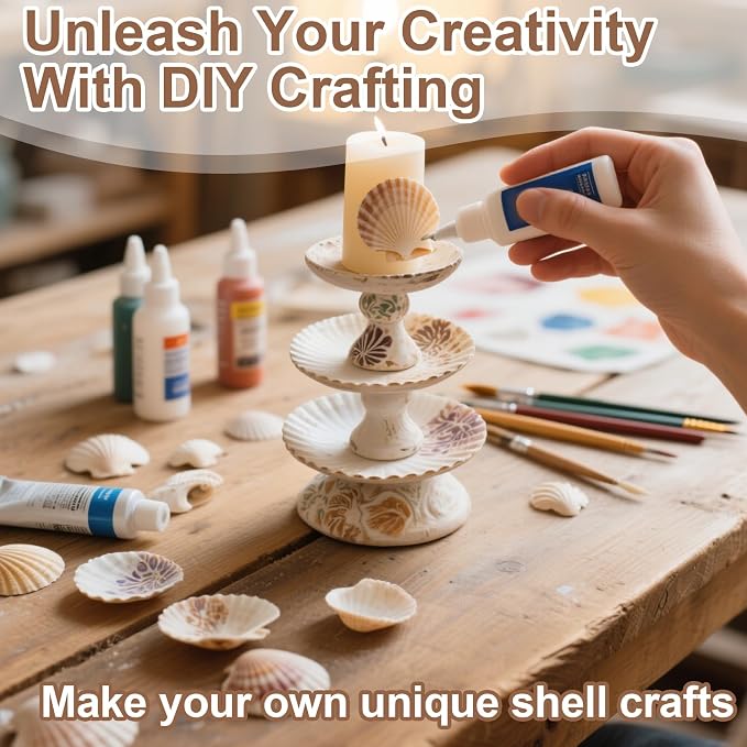 MAQIHAN 60 PCS Small Sea Shells - Image 5
