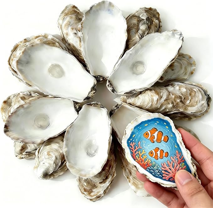 20Pcs Oyster Shells for Crafts 2"-3" Natural Oyster Shells for DIY Crafting by Unknown