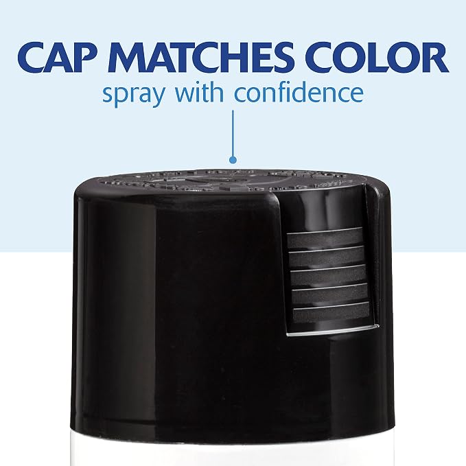 Rust-Oleum Painter's Touch 2X Ultra Cover Spray Paint, Semi-Gloss Black | - Image 7