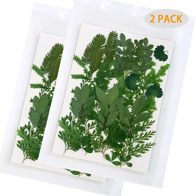 42 PCS Real Dried Pressed Leaf Flowers Plant Herbarium - Image 2