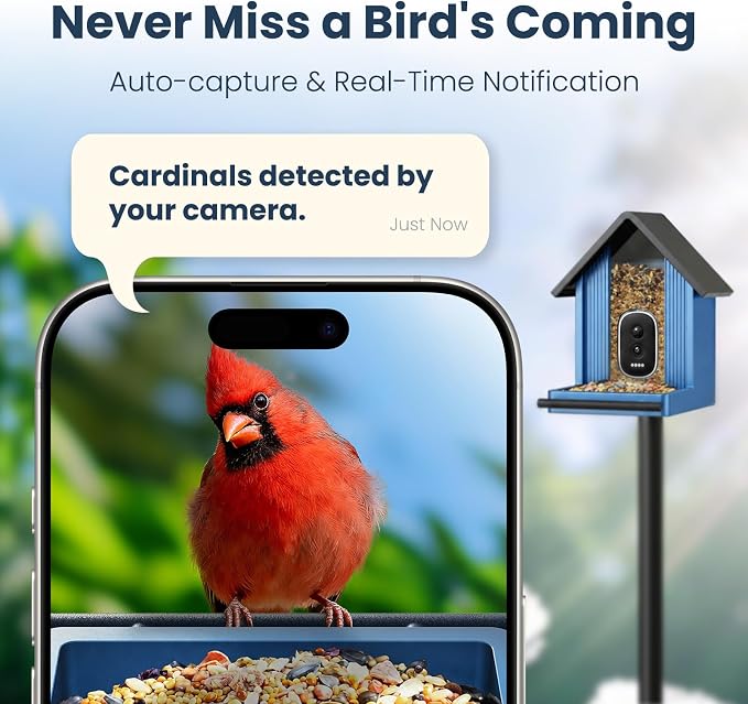 Smart Metal Bird Feeder with Camera, Light Blue | Squirrel Proof, 2.5K UHD AI - Image 5