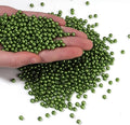 1500pcs Green 5mm Pearl Beads by chuyau