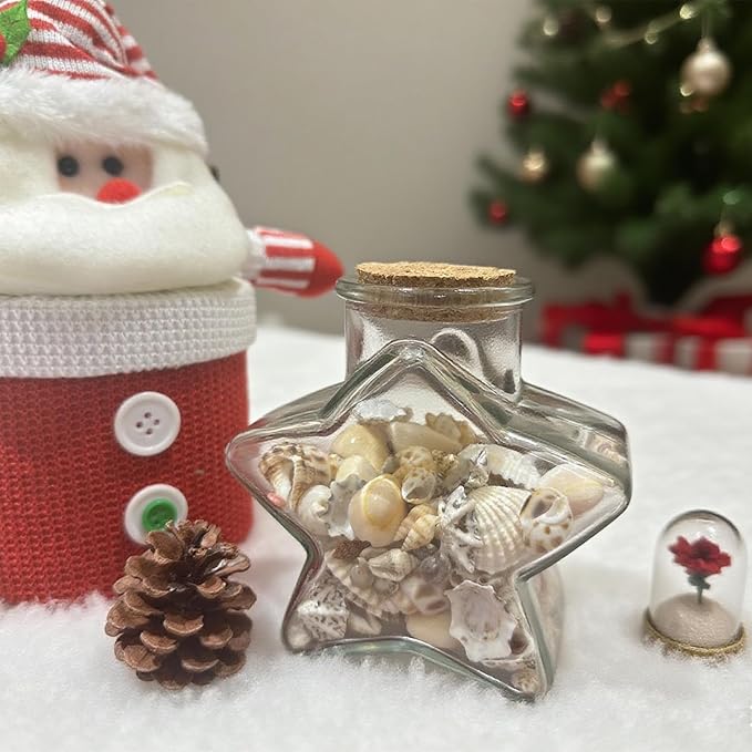 2000 PCS 12 Kinds of Tiny Sea Shells - Image 7