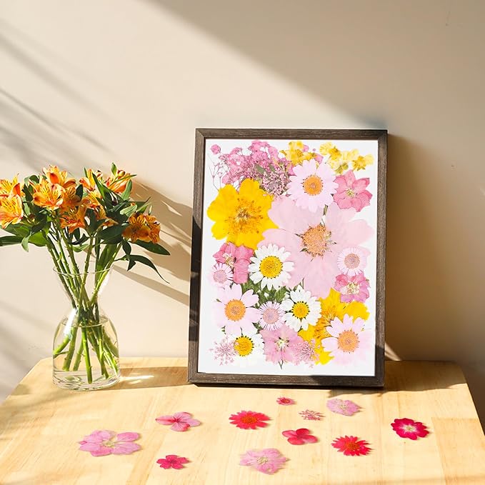 30Pcs Dried Pressed Flowers Bulk Dried Flowers - Image 4