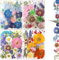 80Pcs Dried Pressed Flowers, Natural Pressed Flowers by Buzidao