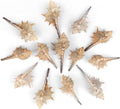 10 PCS+ Small Conch Shells Natural Sea Shells, Fish Tank and Vase Filler by Unknown