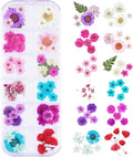60Pcs Small Dried Pressed Flowers by Unknown