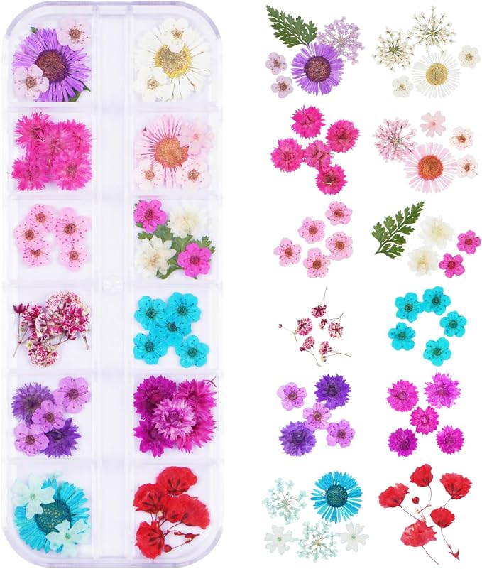 60Pcs Small Dried Pressed Flowers by Unknown