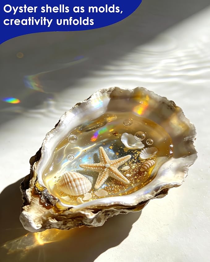 ZhenD 20Pcs 5"-6" Oyster Shells - Image 3