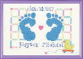 Janlynn Counted Cross Stitch Kit, Baby Feet Birth Announcement Blue, By the yard by Janlynn