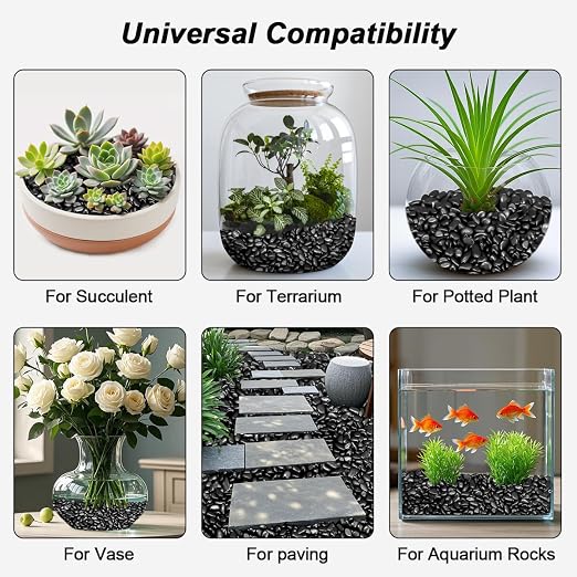 Pebbles for Indoor Plants, Virekm River Rocks, Decorative Ornamental Pebbles - Image 6