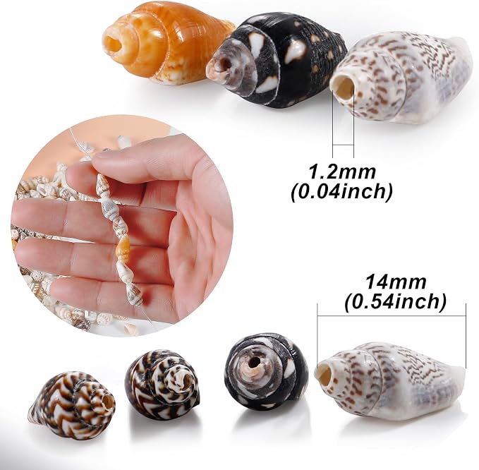 500pcs Natural Tiny Small Seashells - Image 6
