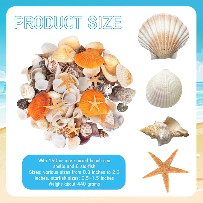 WEOXPR Mixed Sea Shells, 150+ Pcs Beach Seashells Starfish, Various Sizes Ocean - Image 2