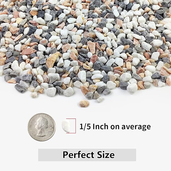 YISZM 5LBS Succulent and Cactus Gravel Pebbles, 1/5 Inch Natural Decorative - Image 2