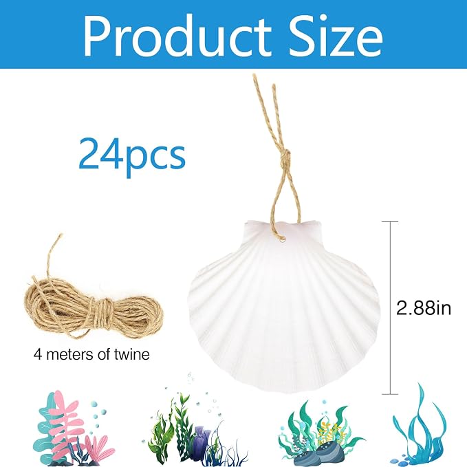 24Pcs Scallop Shells White Natural Seashell 2"-3" Perforation Scallop Shells - Image 2