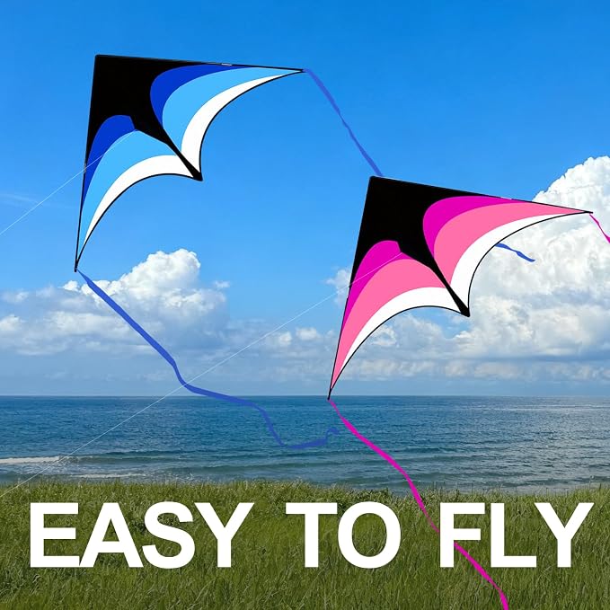 Large Single Line Beach Kite for Adults - Image 2