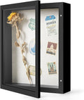 Califortree 8x10 Shadow Box Frame by Califortree