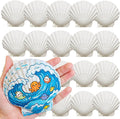 20 PCS 4"-5" Large Scallop Shells by DOODLEBEAN