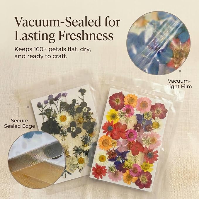Tessera 160+ Pcs Real Pressed Flowers - Image 4