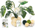 OEHPICC Needle Felting Kit for Beginners, Monstera Potted Plant Felt Kit | Wool by OEHPICC