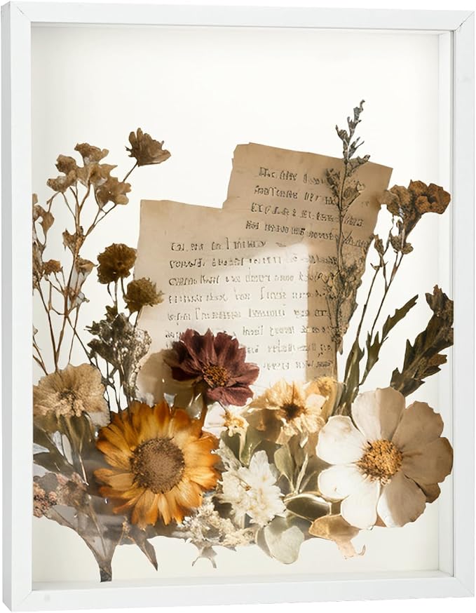 11×14 Shadow Box Frame Display Case by TILBLKUP
