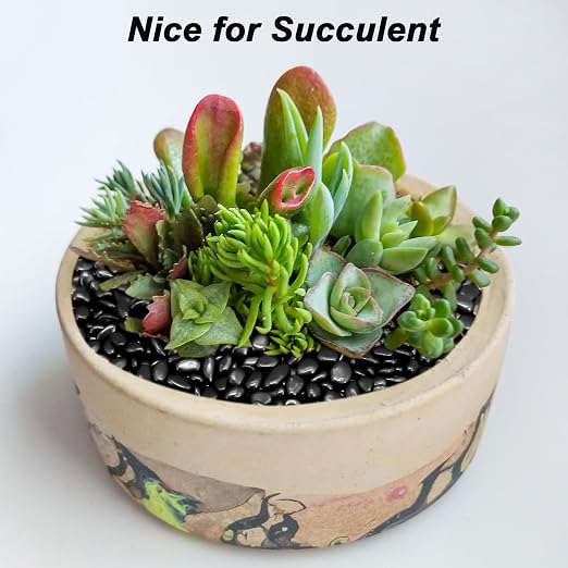 Pebbles for Indoor Plants, Virekm River Rocks, Decorative Ornamental Pebbles - Image 7