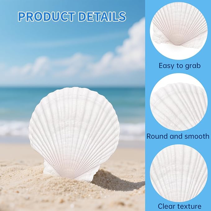 20PCS Large Scallop Shells for Crafts, 4-5 Inch Natural Sea Shells for - Image 3
