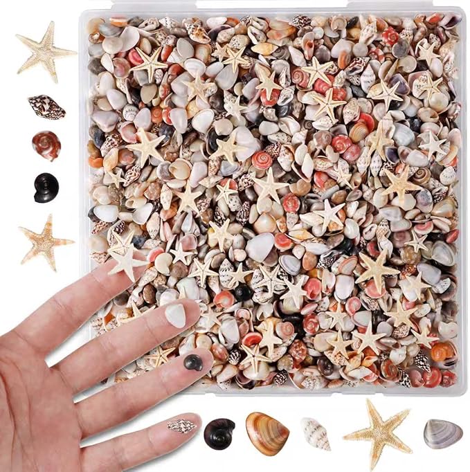 PPCLION 50pcs Tiny Strarfish&2000Pcs Tiny Mini Small Clam Sea Shells by PPCLION