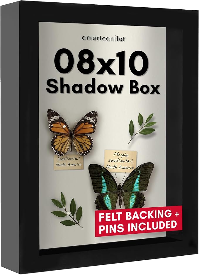 Americanflat 8x10 Shadow Box Frame by Americanflat