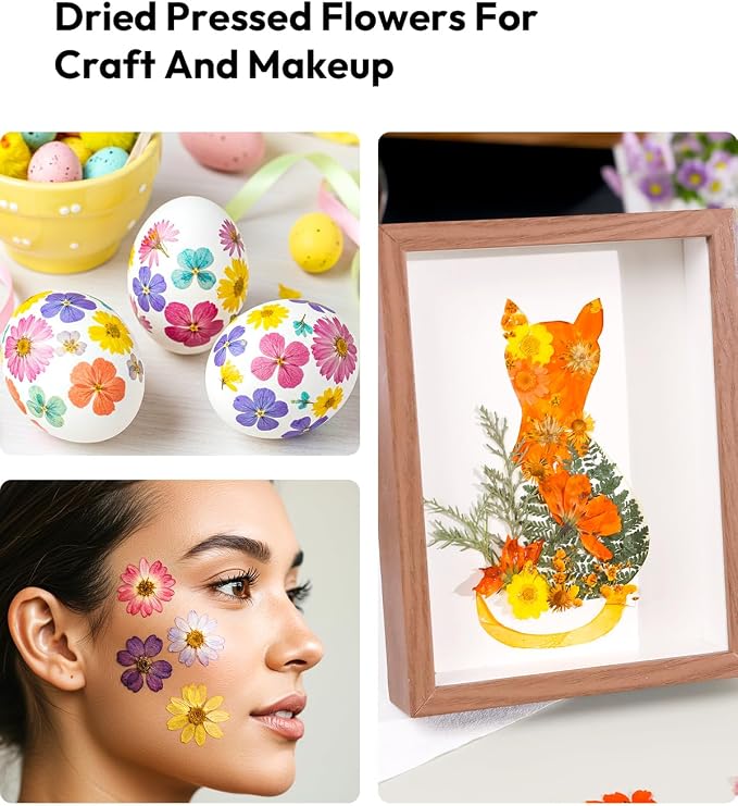 Dried Flowers, Resiners 174Pcs Pressed Flowers - Image 9