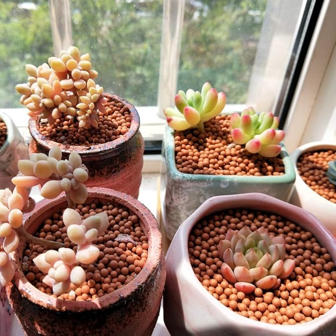 TOYPOPOR Clay Pebbles Gardening Ceramsite Orchid Hydroponic Grow Media Clay - Image 6