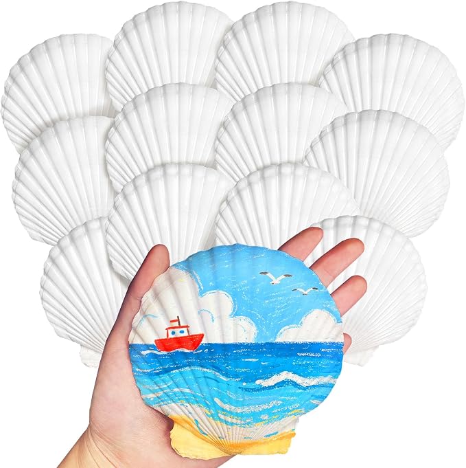 Baaxxango 12 PCS 4-5 Inch Large Scallop Seashells, Natural White Shells by Baaxxango