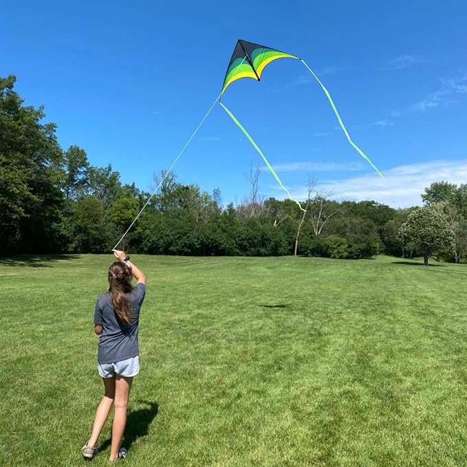 Mint's Colorful Life Delta Kite - Image 5