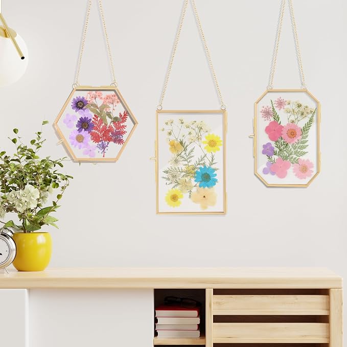 Lujechii 3 Pcs Double Glass Pressed Flower Frame, - Image 7