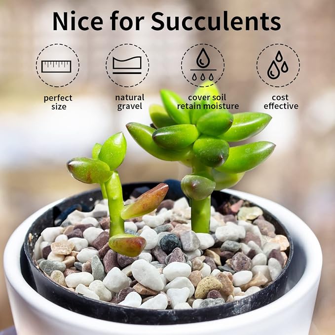 FANTIAN 2 lbs Natural Mixed Color Pea Gravel Pebbles, 3/8 inch Decorative Rocks - Image 5