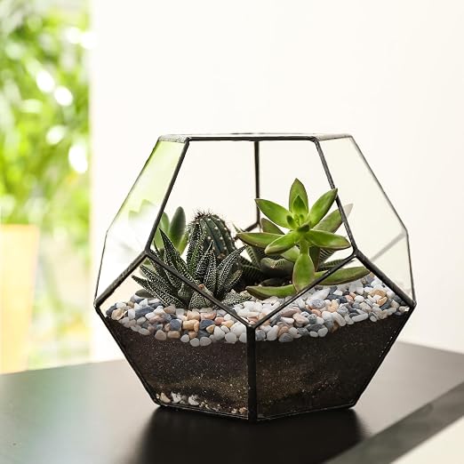 Pulovin 2.5 lbs Small Rocks for Plants, 1/5 Inch Pebbles for Indoor Plants - Image 6
