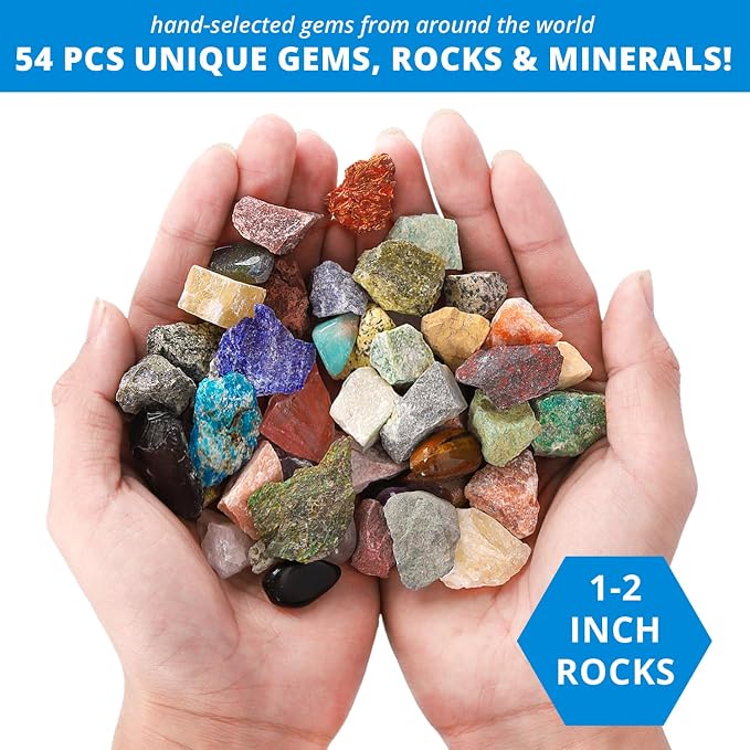PIBEX Rock Collection Starter Kit - Image 4