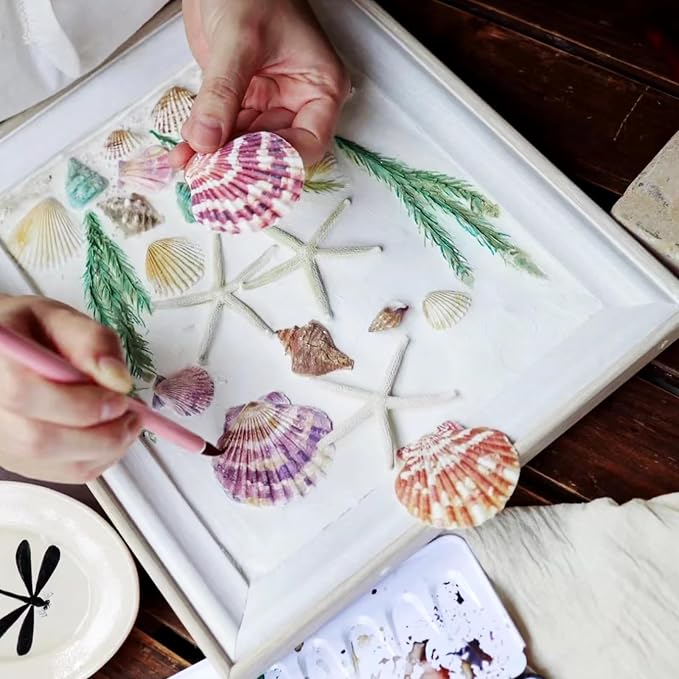 30 PCS+ Scallop Shells Natural Seashell, 1.5"-2.5" Natural Scallop Shells Small - Image 5