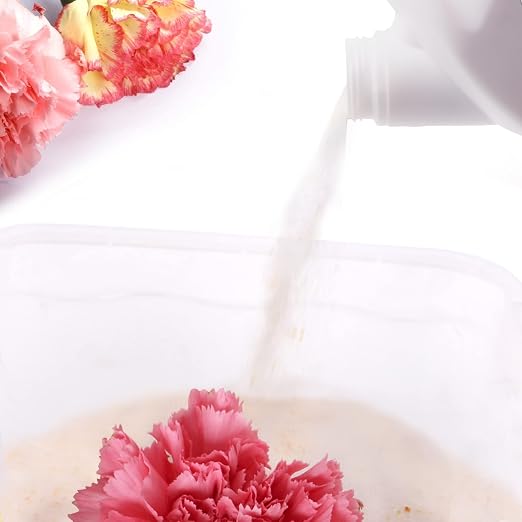 Wisesorb Silica Gel for Flower Drying, Silica Gel Flower Drying Crystals - Image 5