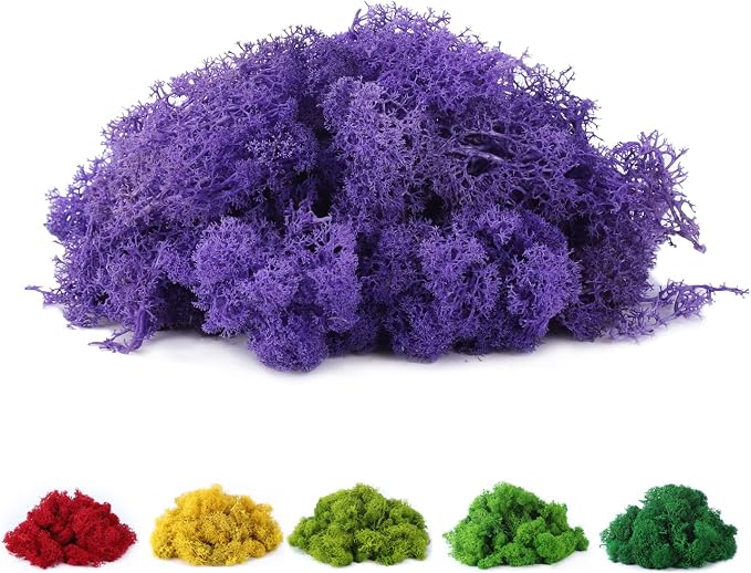 Fake Moss Preserved Reindeer Moss 3.5 OZ by DAZUINIAO