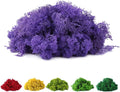 Fake Moss Preserved Reindeer Moss 3.5 OZ by DAZUINIAO