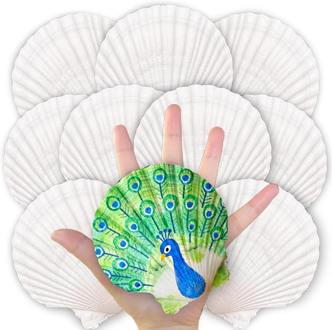 20PCS Large Scallop Shells for Crafts, 4-5 Inch Natural Sea Shells for by Unknown