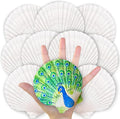 20PCS Large Scallop Shells for Crafts, 4-5 Inch Natural Sea Shells for by Unknown